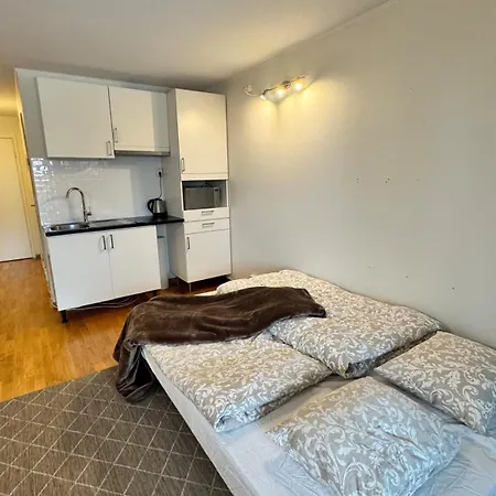 Near Oslo, Drammen, And A Apartment