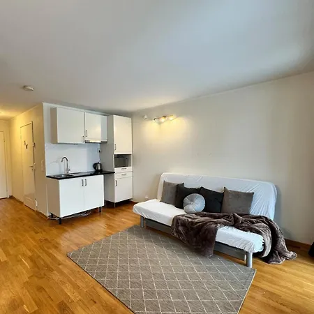 Near Oslo, Drammen, And A Lier (Buskerud)