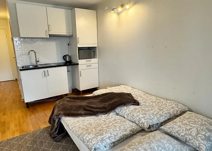 Near Oslo, Drammen, And A Appartement